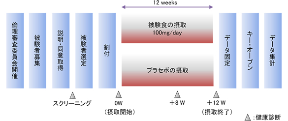 試験スケジュール