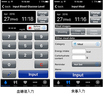Tara Tsek　血糖値入力 / 食事入力