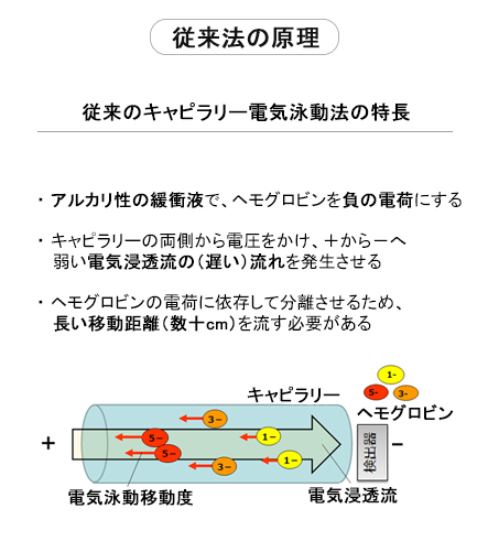 3cmのキャピラリーで高度な分離分析を実現！ The lab 001