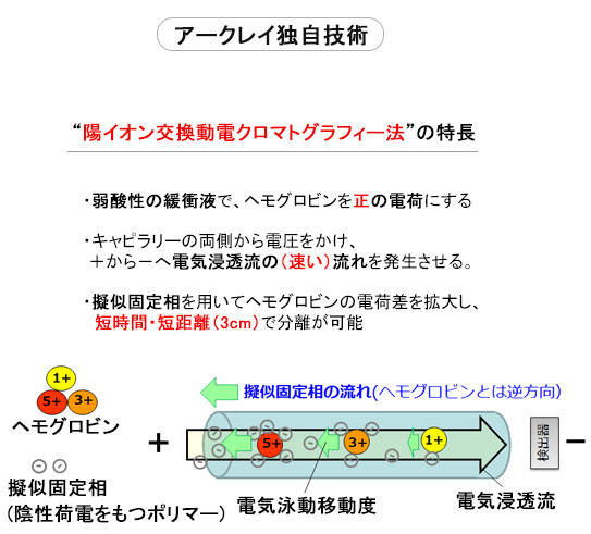 3cmのキャピラリーで高度な分離分析を実現！ The lab 001