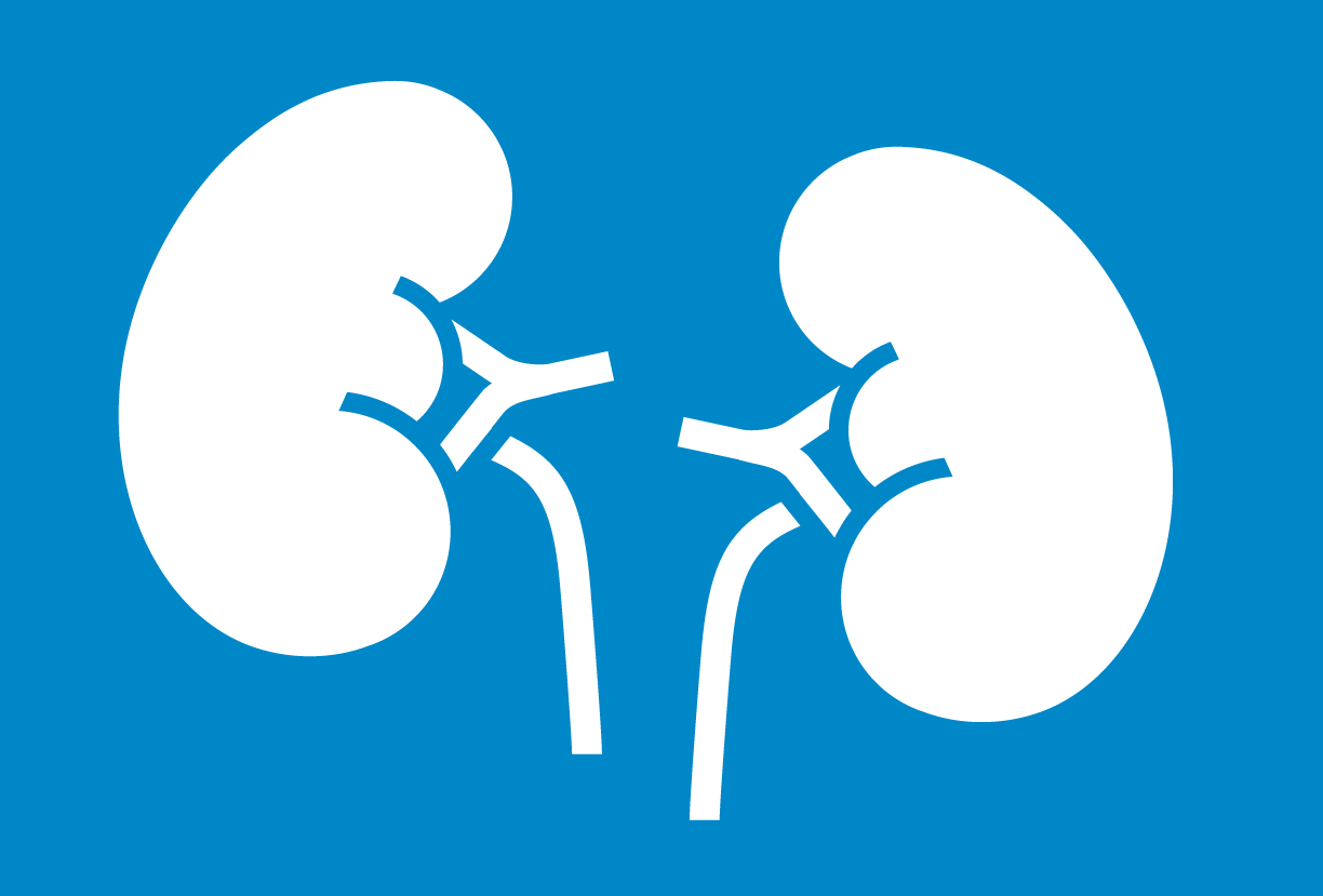 Kidney Toxicity